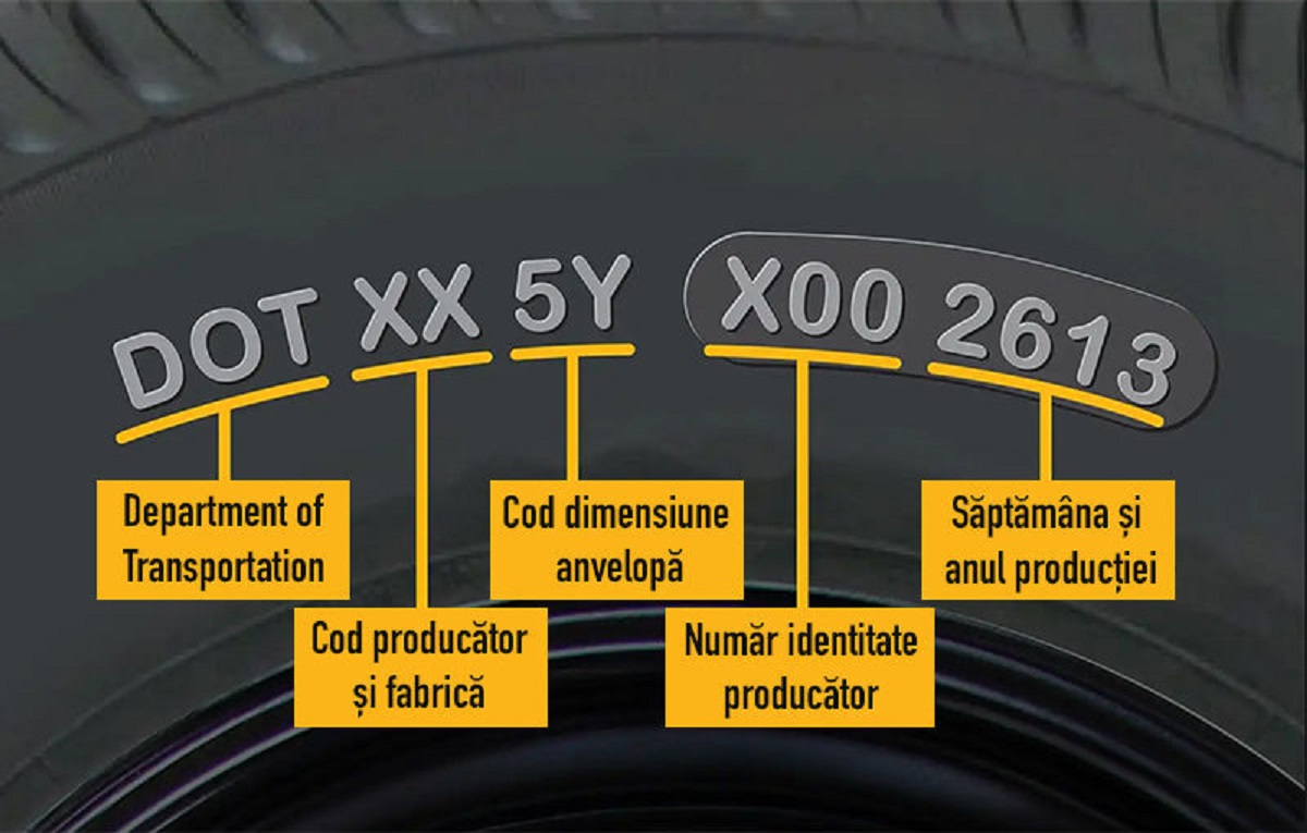 663085l 1000x640 b 8df83b5d