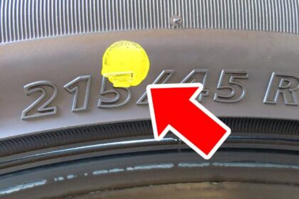 S6ie67it